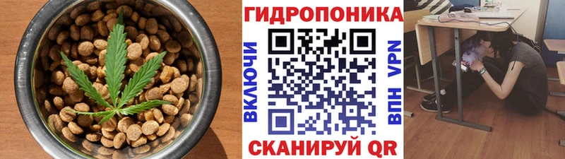 Купить  Аркадак  Еда ТГК конопля 