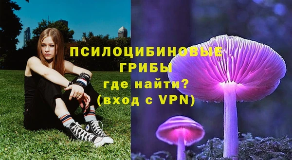 герыч Кулебаки