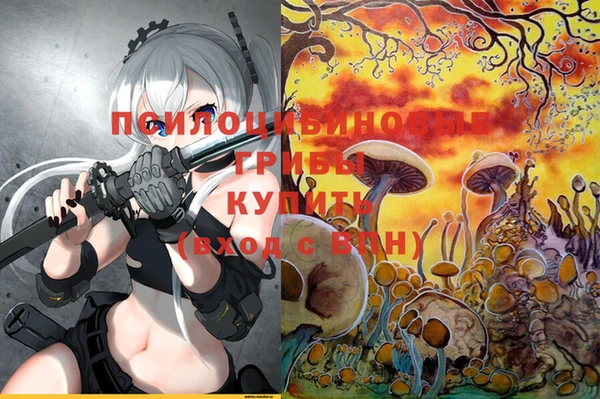 МДПВ Кукмор
