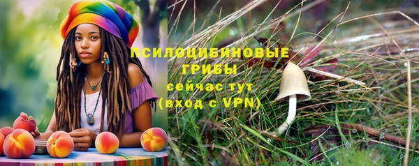 гидра Куйбышев