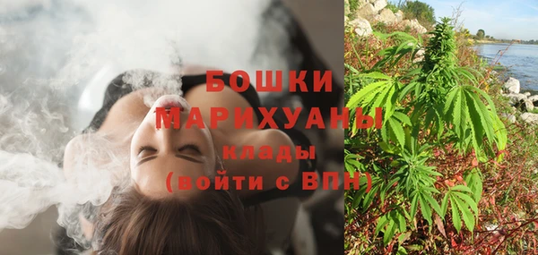 МДПВ Кукмор